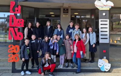 Županijska smotra LiDraNo